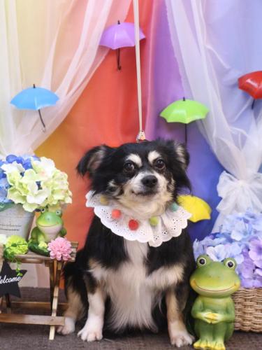 20230603レオくん